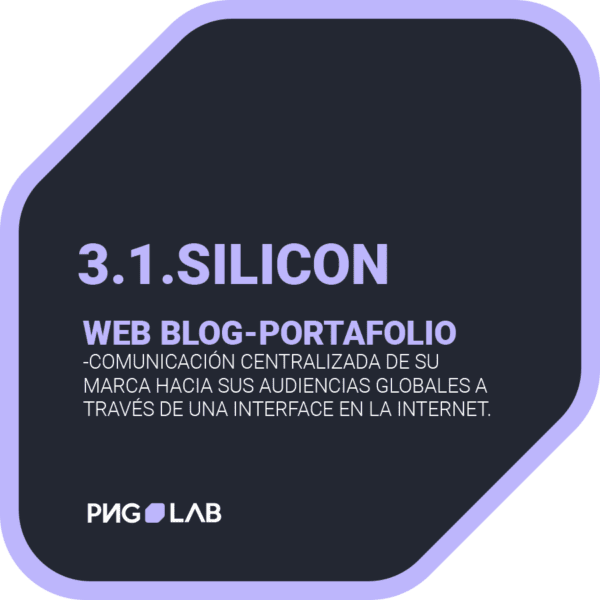 Paquete Silicon Web Blog-Portafolio