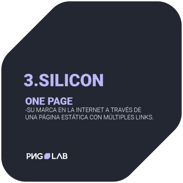 Paquete Silicon One Page